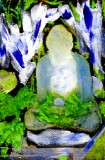 Blue Garden Buddha, Mimi's